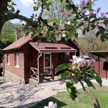 Зачаровані Карпати, Воловець Luaran gambar