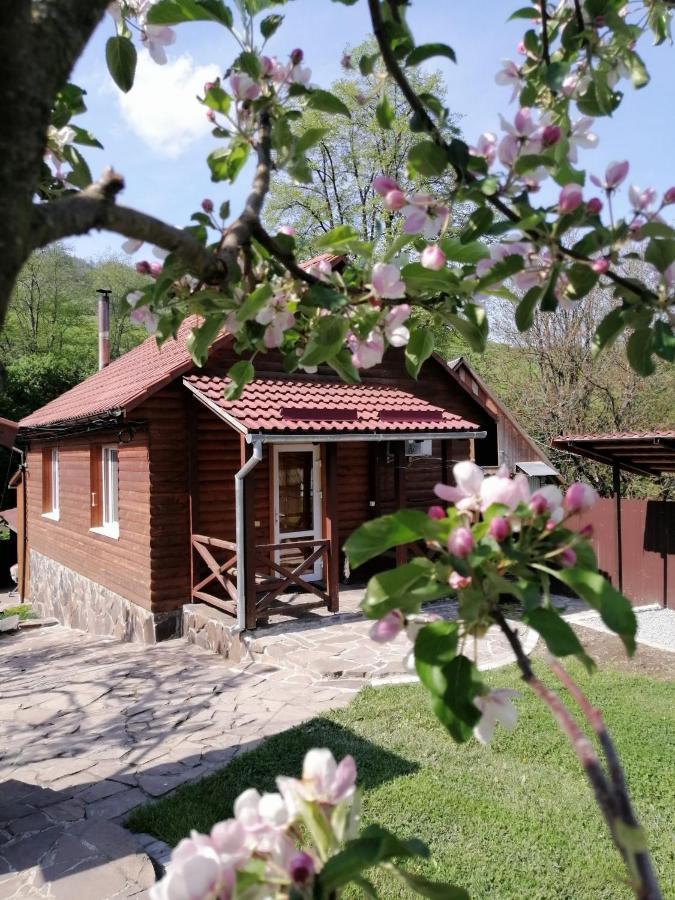 Зачаровані Карпати, Воловець Luaran gambar